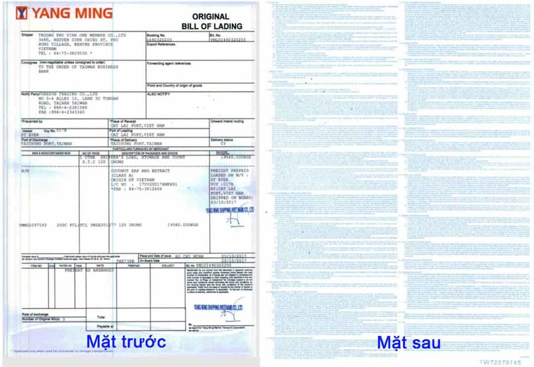 Bill of lading sẽ đóng vai trò là chứng từ sở hữu đối với hàng hóa