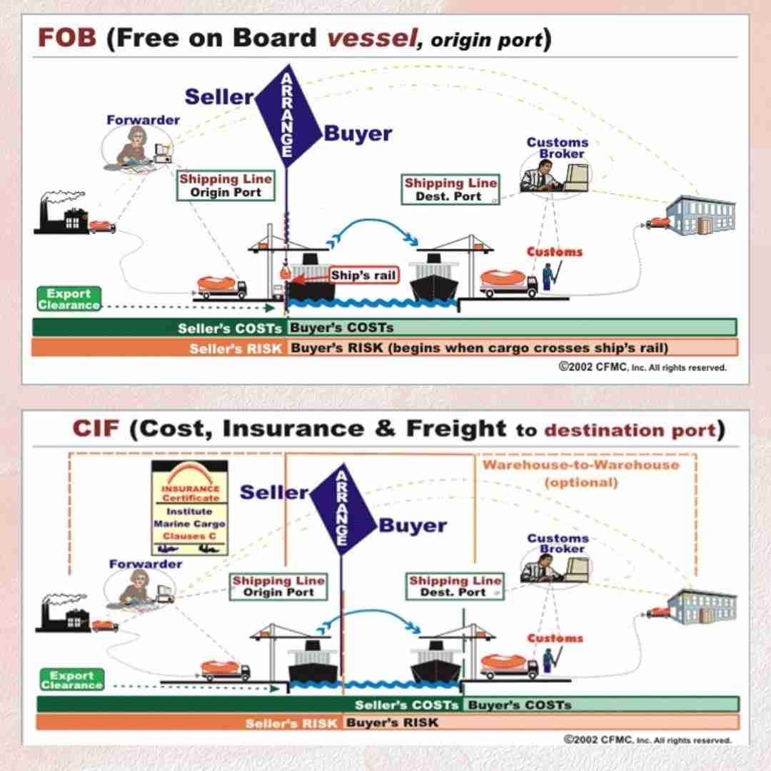 Phân biệt FOB và CIF tránh nhầm lẫn không đáng có