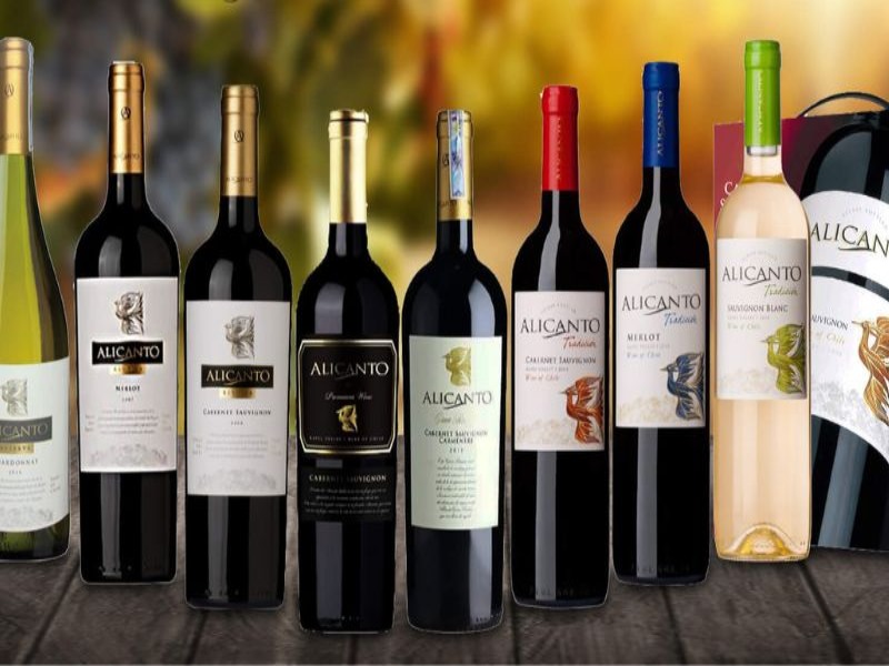 Giá vang chile phụ thuộc vào nhiều yếu tố